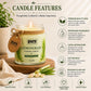 Pure Source India Lemongrass Scented Jar Candle | 150 GM | Premium Wax Candle | 35-40 Hours Burn Time | Aromatherapy Candle for Home Decor, Bedroom, Spa, Meditation & Gift