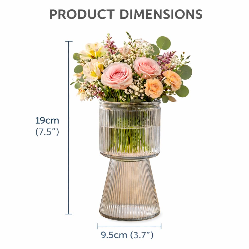 Pure Source India Decorative Ribbed Glass Vase 7.5Inch with Pedestal Base – Modern Flower Vase for Living Room & Tabletop