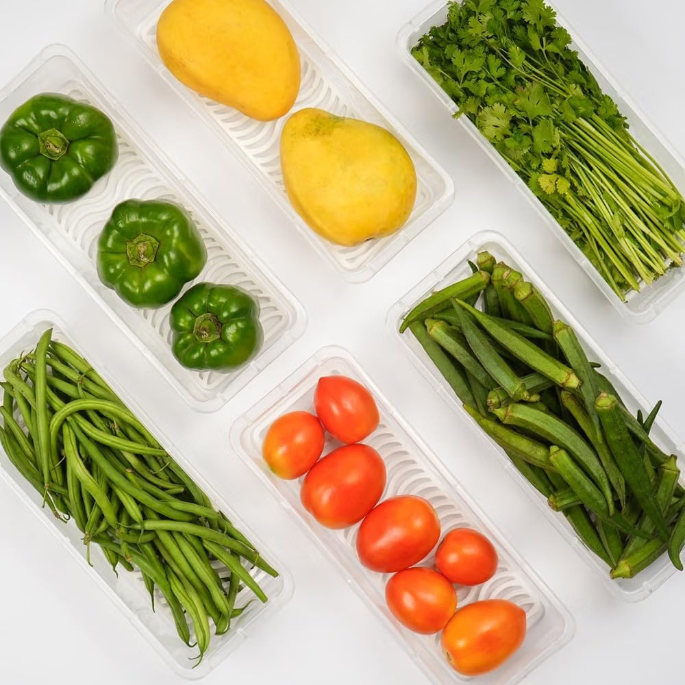 Pure Source India Fridge Storage Containers With Removable Drain Plate Rectangle (1000ml) (28cm) (2 pcs)