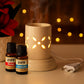 Pure Source India Electric Diffuser for Home (10 ml Aroma Oil Rose & Lavender Fragrance)