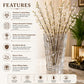 Pure Source India Square Crystal Glass Flower Vase | Clear Decorative Table Vase for Fresh & Artificial Flowers | Modern Square Cut Glass Vase for Home, Office & Gifting | 9.6 Inch