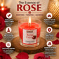 Pure Source India Pack of 6 Votive Glass Scented Candles, Diwali Home Decor Gift (Fragrance-Rose, Jasmine & Sandalwood)