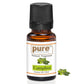 Pure Source India Camphor Aroma Oil | Premium Fragrance Oil for Diffuser, Aromatherapy, Meditation, Candles, Soap Making, Humidifier & Home Air Freshener