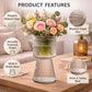 Pure Source India Decorative Ribbed Glass Vase 7.5Inch with Pedestal Base – Modern Flower Vase for Living Room & Tabletop