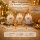 Pure Source India Scented Candle Gift Set of 3 | Vanilla, Mandarin & Lavender | 75g Each | Fragrance Candles for Home, Living Room & Gifting