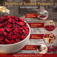 Pure Source India Premium  Red Rose Scented Potpourri Gift Pack – Natural Dried Flower Fragrance for Home Décor, Aromatherapy & Festive Gift Hampers