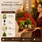 Pure Source India Diwali Gift Set with 97 Green Aroma Burner, Aroma Oil, Scented Candle & Potpourri Potli | Festive Home Fragrance Gift Hamper