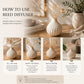 Pure Source India Ceramic Reed Diffuser Pot/Flower Pot/Christmas Decoration and New Year Gifts (Standard, White) with 8 pcs reed stick