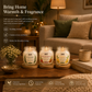 Pure Source India Scented Candle Gift Set of 3 | Rosemary, Apple cinnamon, Lemon | 75g Each | Fragrance Candles for Home, Living Room & Gifting (Copy)