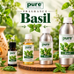 Pure Source India Basil Aroma Oil | Premium Fragrance Oil for Diffuser, Aromatherapy, Meditation, Candles, Soap Making, Humidifier & Home Air Freshener