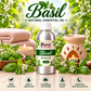Pure Source India Basil Aroma Oil | Premium Fragrance Oil for Diffuser, Aromatherapy, Meditation, Candles, Soap Making, Humidifier & Home Air Freshener