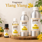 Pure Source India Ylang Ylang Aroma Oil | Premium Fragrance Oil for Diffuser, Aromatherapy, Meditation, Candles, Soap Making, Humidifier & Home Air Freshener