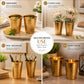 Pure Source India Pure Brass Lassi Glass Tumbler Set of 2, 250 ML Dotted Design Brass Drinking Glass | Traditional Indian Drinkware for Lassi, Water, Juice, Home, Kitchen & Gifting