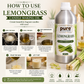 Pure Source India  Lemongrass Candle Making Oil | Fragrance Oil for Candle, Soap & Wax Melt Making | 1000 ml