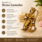 Pure Source India Pure Brass Lord Ganesh Statue (6 Inch) Sitting on Chair Idol for Home Office and Gifts Decor (1172 gm)