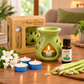 Pure Source India Ceramic Aroma Set (Green)