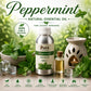 Pure Source India Peppermint Aroma Oil | Premium Fragrance Oil for Diffuser, Aromatherapy, Meditation, Candles, Soap Making, Humidifier & Home Air Freshener
