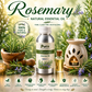 Pure Source India Aroma Diffuser Oil Essential for Oil Burner, Soap Making, Candle Making Etc. 500 ML Pack of Fragrance Oil