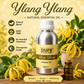 Pure Source India Aroma Diffuser Oil Essential for Oil Burner, Soap Making, Candle Making Etc. 500 ML Pack of Fragrance Oil