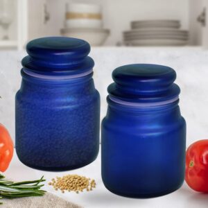 Pure Source India Frosted Glass Spice Jar/Yanky Jar/Glass Container For Storage (110 ml) (Blue) (Two Pcs)